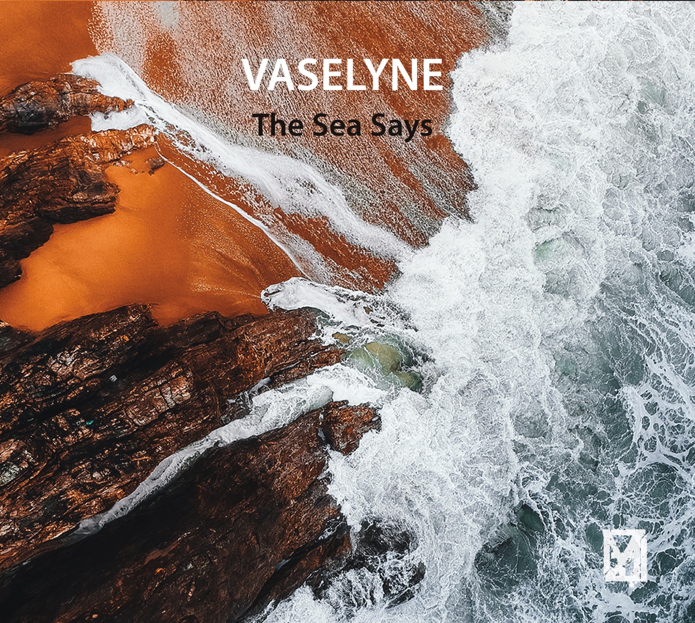 Vaselyne - Shame (PJ Harvey cover)